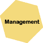 Management